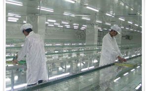 食品無(wú)塵車間設(shè)計(jì)應(yīng)該如何布局的呢-實(shí)力廠家在線解答【東鑫凈化】