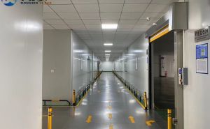 凈化工程的意義和發(fā)展趨勢【東鑫凈化】